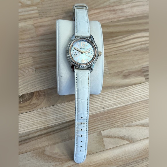 Citizen Eco-Drive Ladies Watch Crystals Pearl Dial Day/Date Stainless Case main image 7